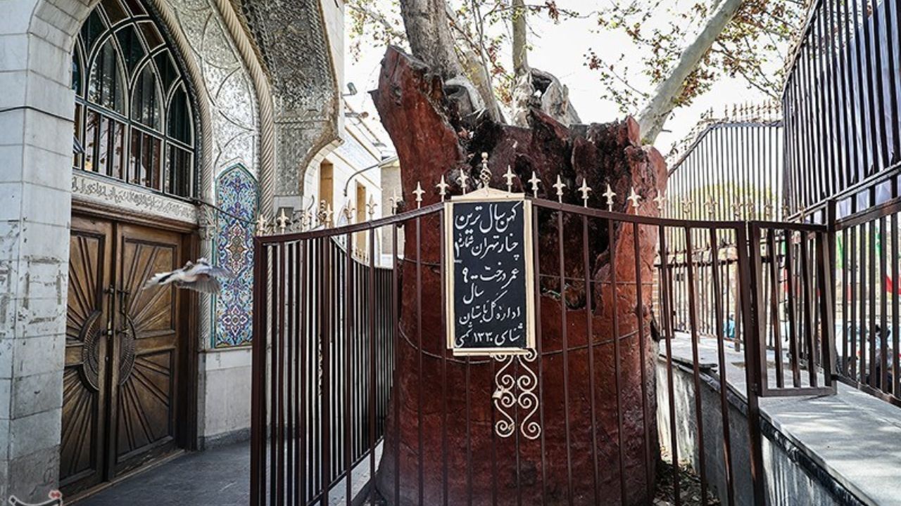 علت نامگذاری 14 مهر به نام روز تهران چیست؟/ جزئیات برنامه‌های «تهرانِ ایرانیان»