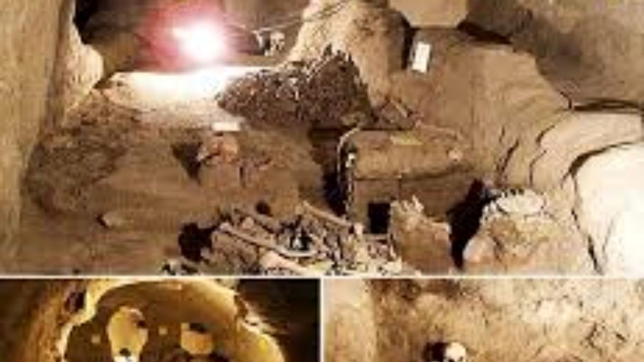 «سامن» از تملک مخابرات خارج شد