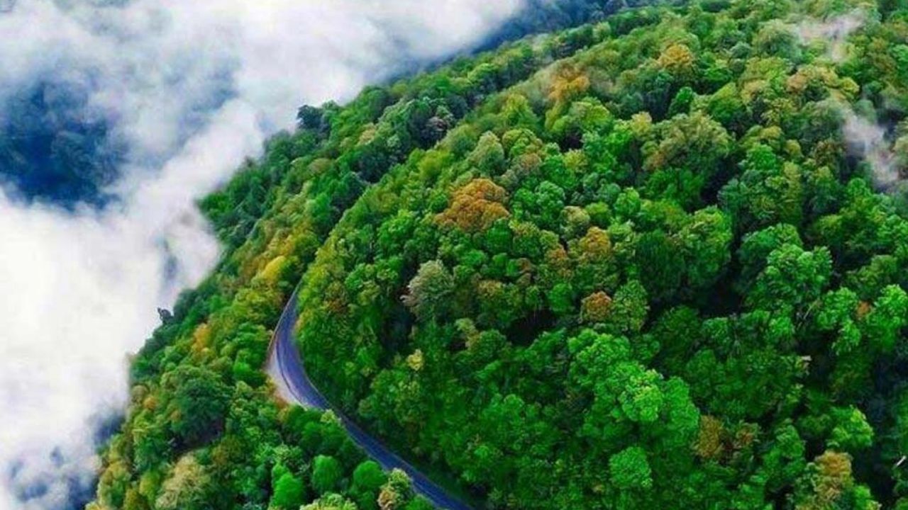 مسئولان قول اقدام سریع اطفای هوایی برای جنگل‌های ارسباران دادند