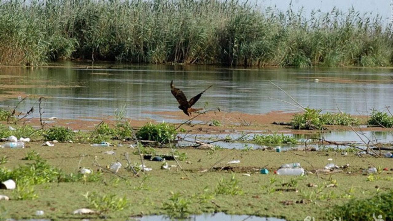 سند تالاب‌ها به نام دو سازمان محیط‌زیست و جنگل‌ها صادر می‌شود