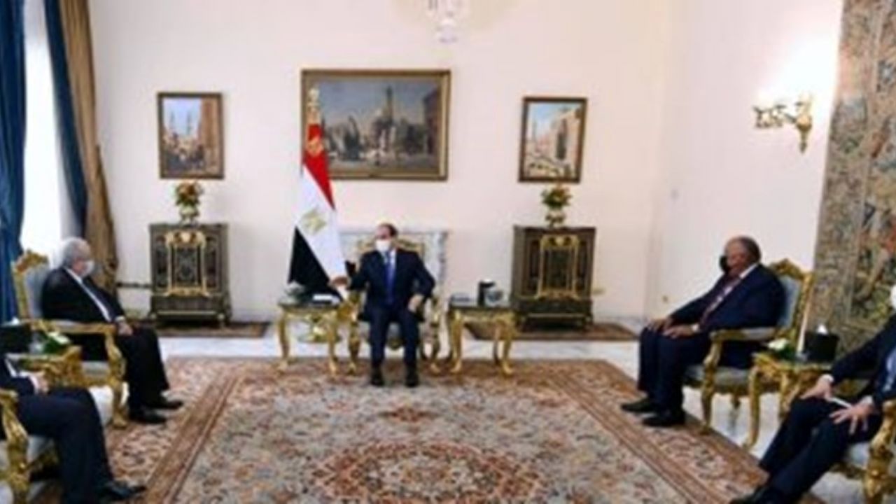 توافق مصر و الجزائر برای حمایت از رئیس جمهور تونس