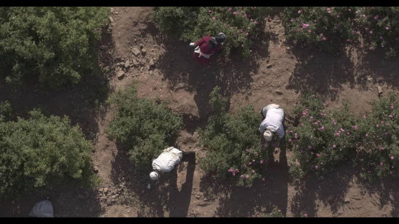 مستند ایران‌زاد به کاشان و اصفهان رسید/ ایران‌زادی‌ها در سفر جدید خود با ارامنه ایرانی هم‌صحبت شدند