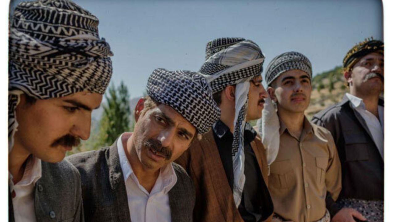 چند نفر «درخت گردو» را تماشا کرده‌اند؟