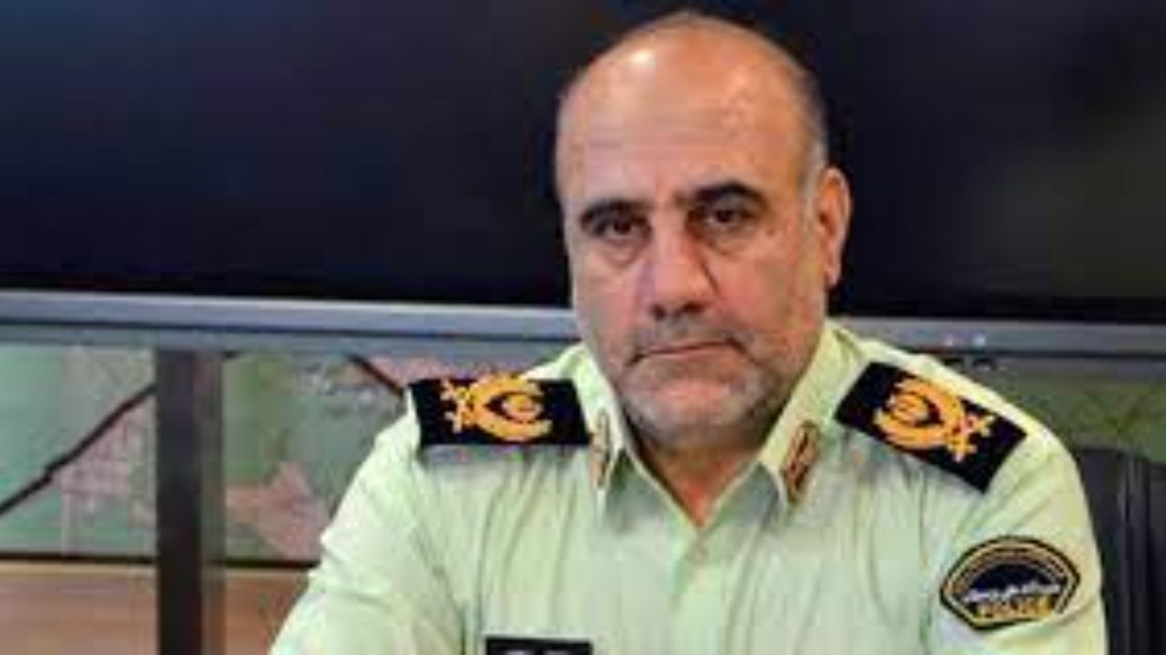 پلیس امنیت اقتصادی، پلیسی نوپا و جدید است
