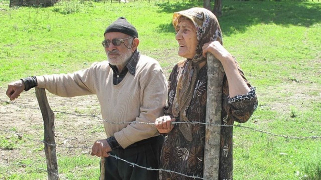 تشکیل سازمان ملی سالمندان ضروری است