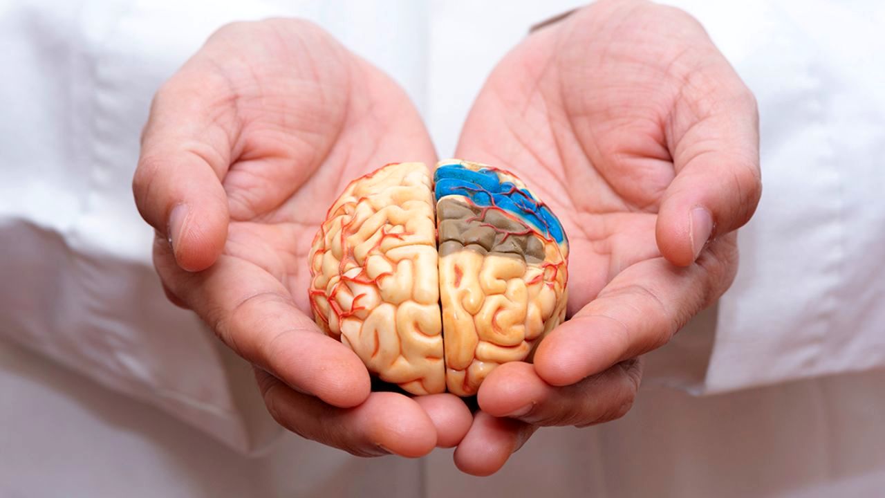 هورمون استروژن در زنان از آلزایمر پیشگیری می کند