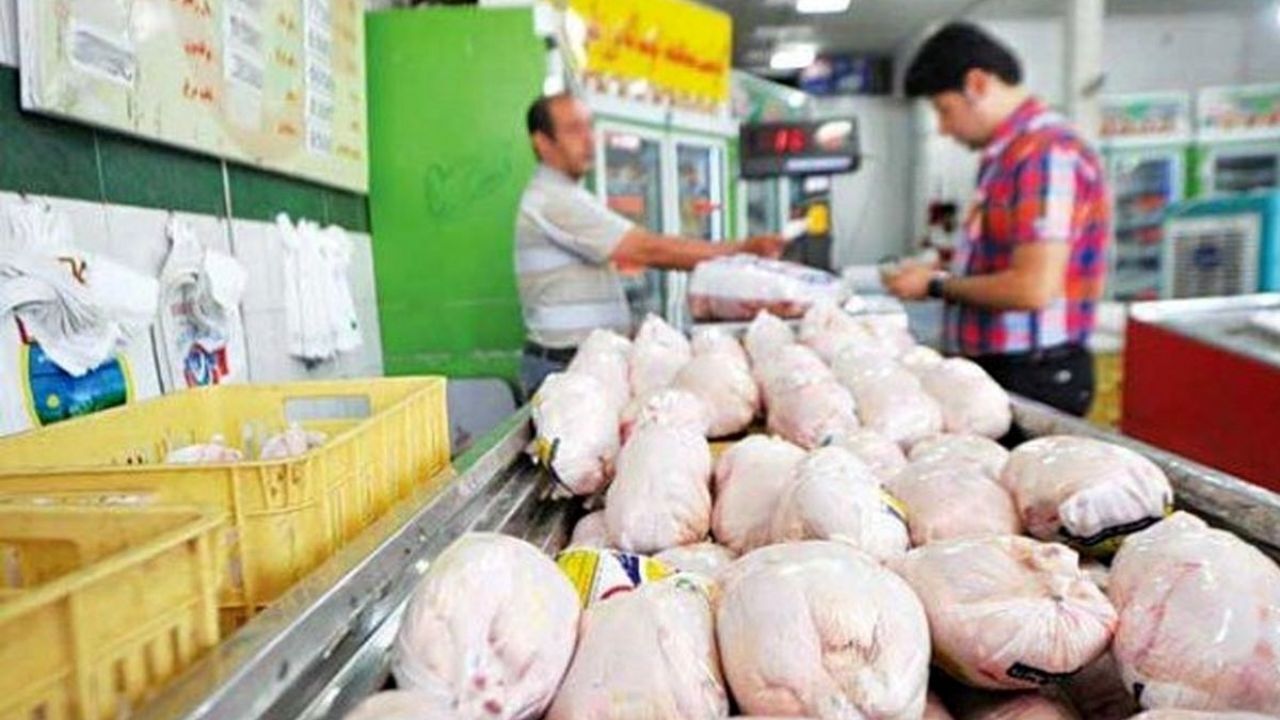 قیمت مرغ تازه چند؟