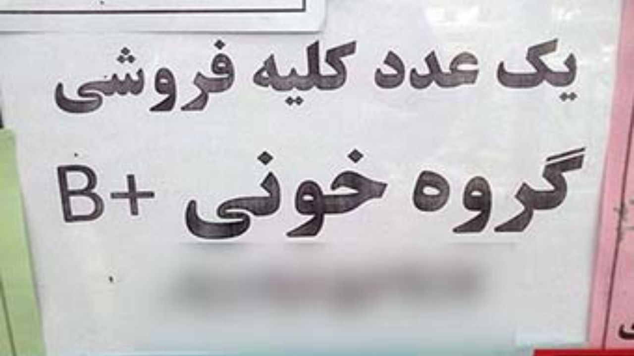 تلگرام و فقر؛ همکارانی برای خرید و فروش کلیه