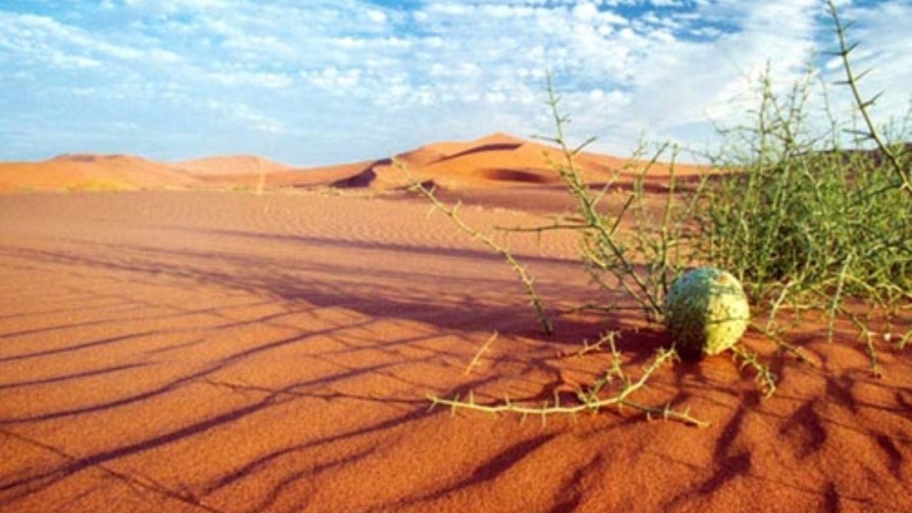 تغییر اقلیم ایران، فرسایش بادی را 30 درصد افزایش داد