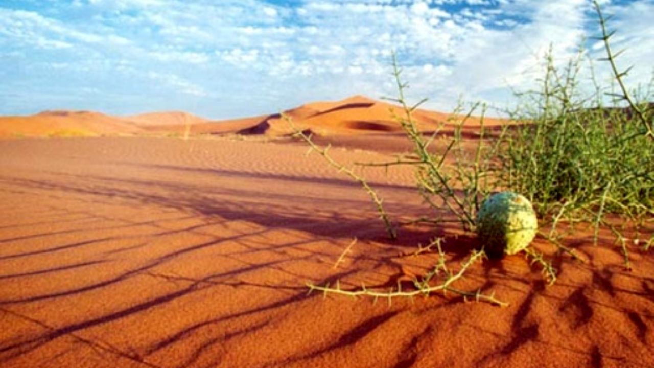 تغییر اقلیم ایران، فرسایش بادی را 30 درصد افزایش داد