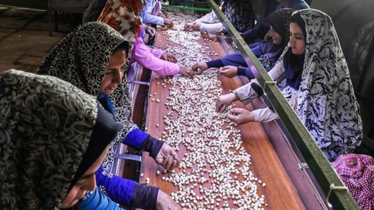 تخصیص 7300 میلیارد تومان اعتبار برای تسهیلات اشتغال روستایی