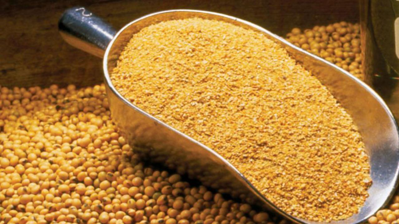 کنجاله تنظیم بازاری بین واحدهای دام و طیور توزیع می‌شود