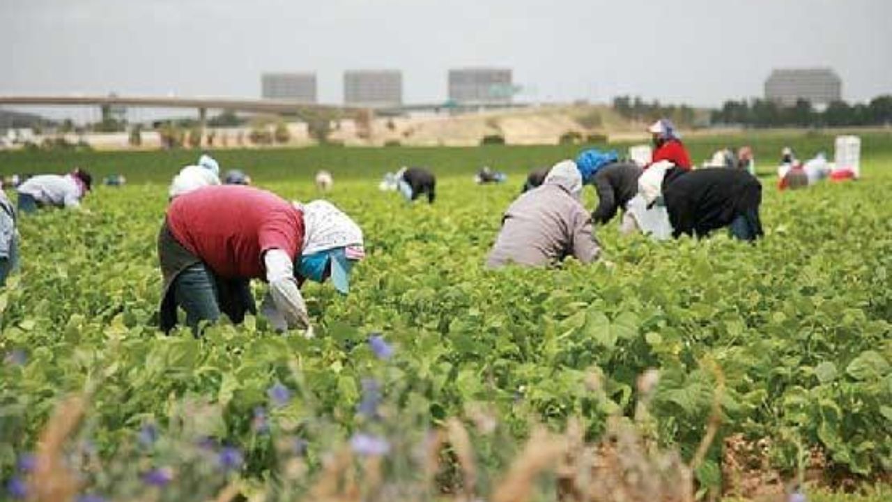 اختصاص 1.5 میلیارد دلاری از صندوق توسعه ملی به اشتغال روستاییان