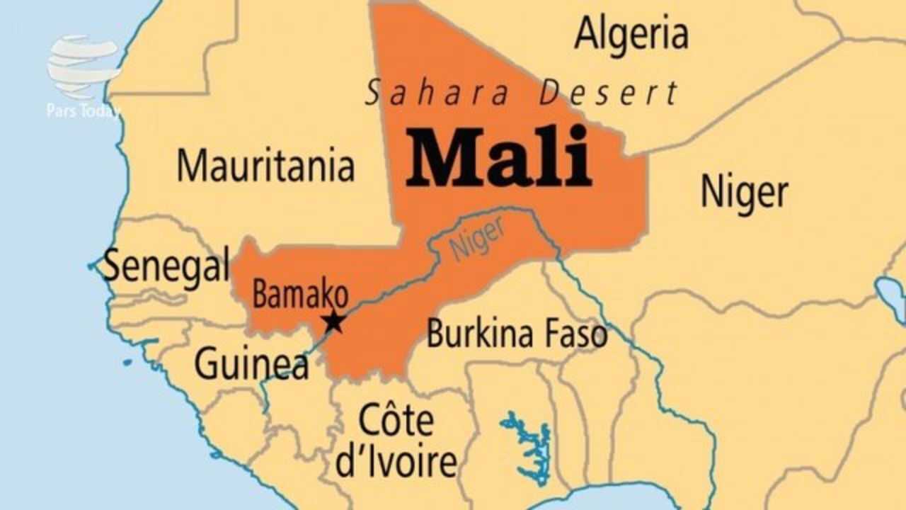 دولت مالی استعفا کرد