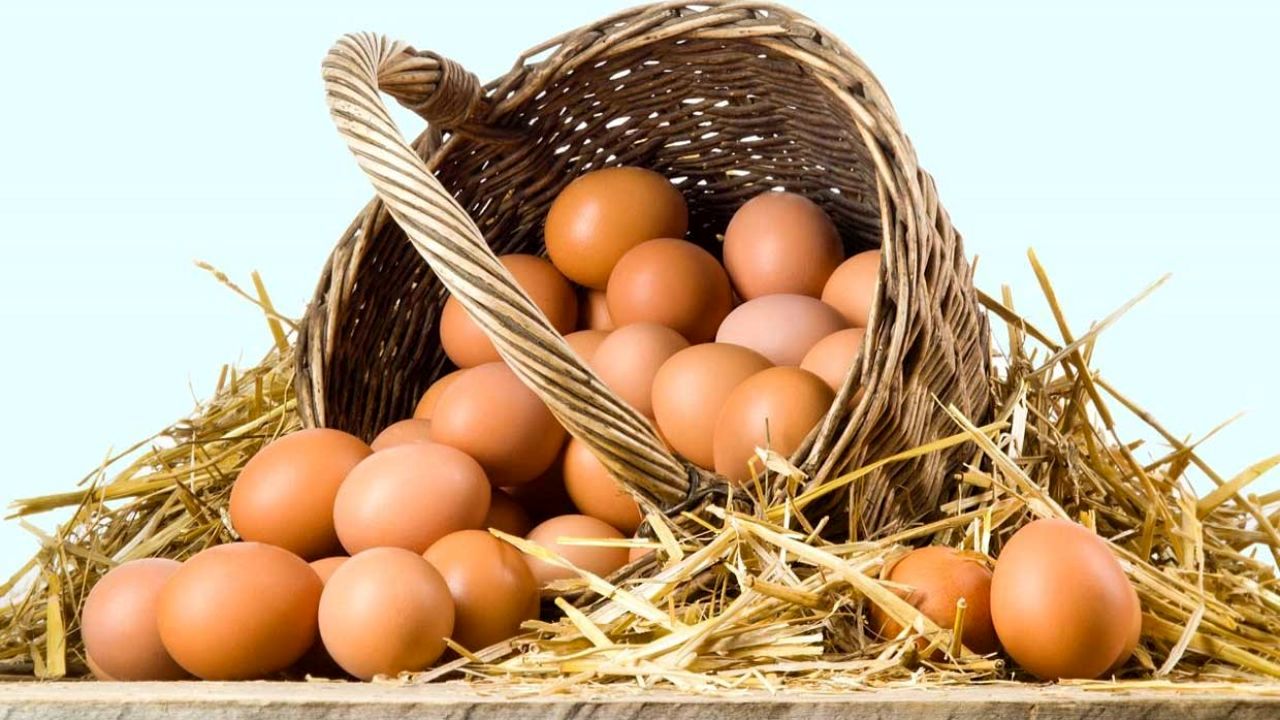 قیمت جدید تخم مرغ بزودی اعلام می‌شود/ رقبای صادراتی زیاد شدند