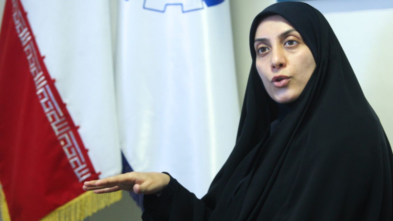 گاهی یک فراکسیون سیاسی هم تاثیری بر رای مجلس ندارد/ اینکه می‌گویند مجلس یک‌نفره اداره می‌شود، توهین به نمایندگان است/ مالکیت شرکت‌های زیرمجموعه خودروسازان را بررسی کردیم