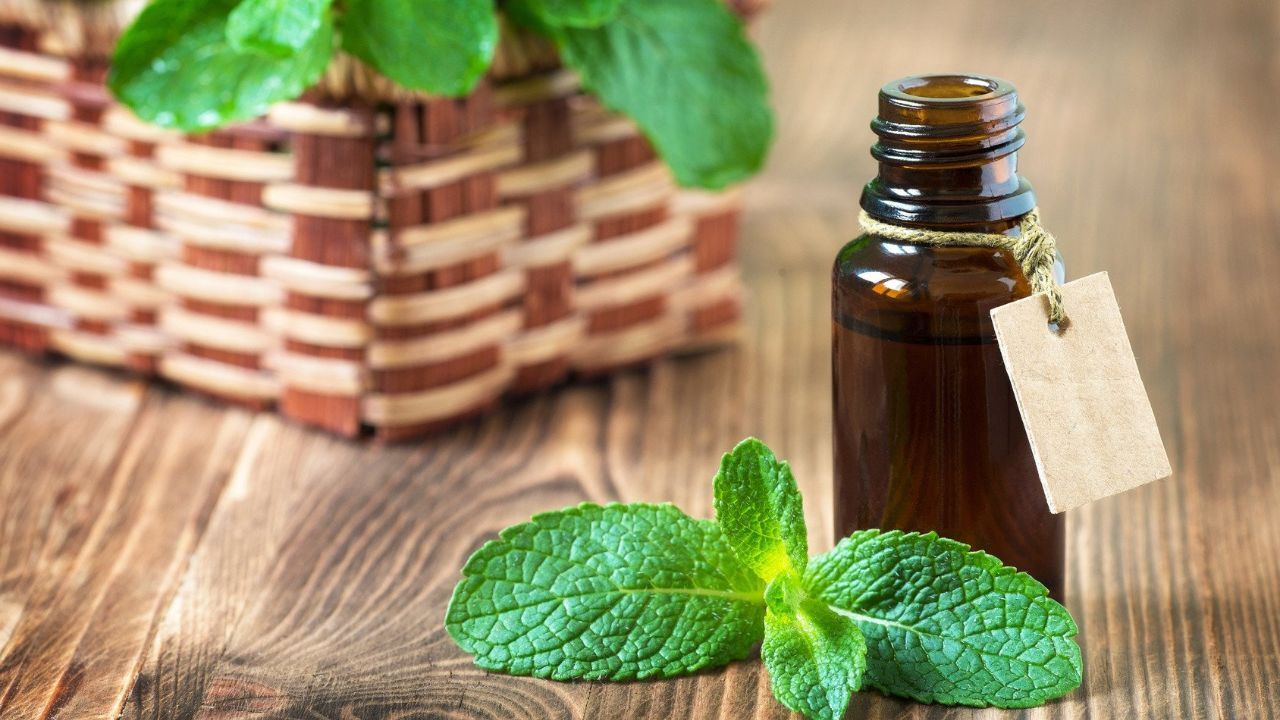 عصاره نعناع؛ درمانی موثر برای افراد دارای مشکل بلع