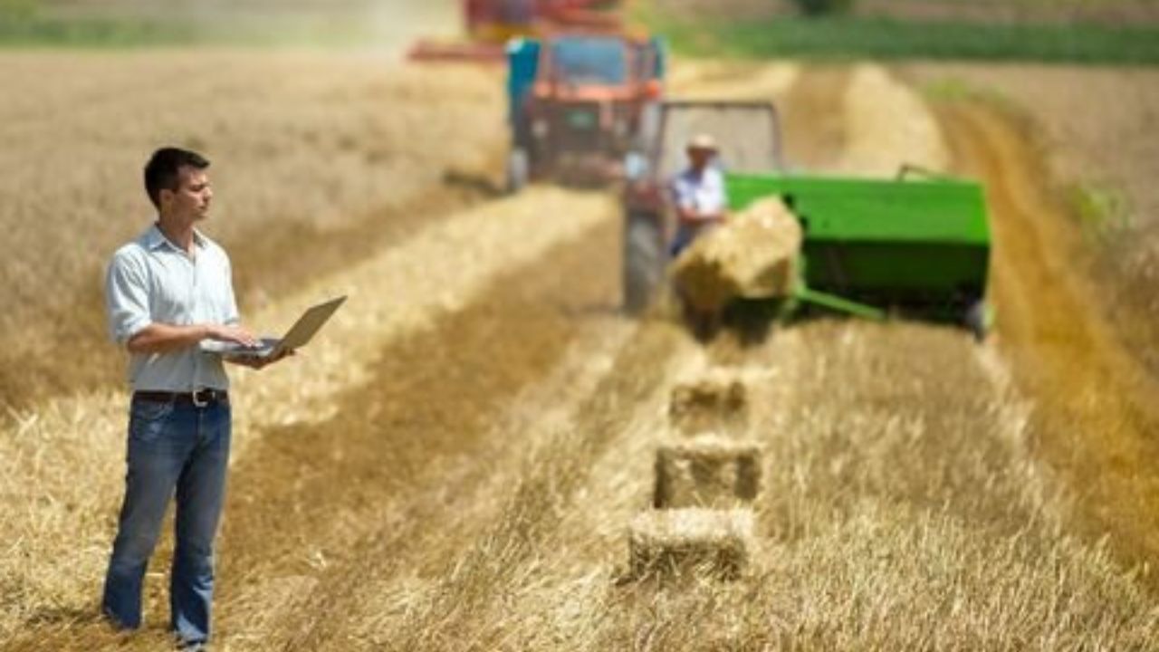 فارغ‌التحصیلان بیکار کشاورزی را دریابید