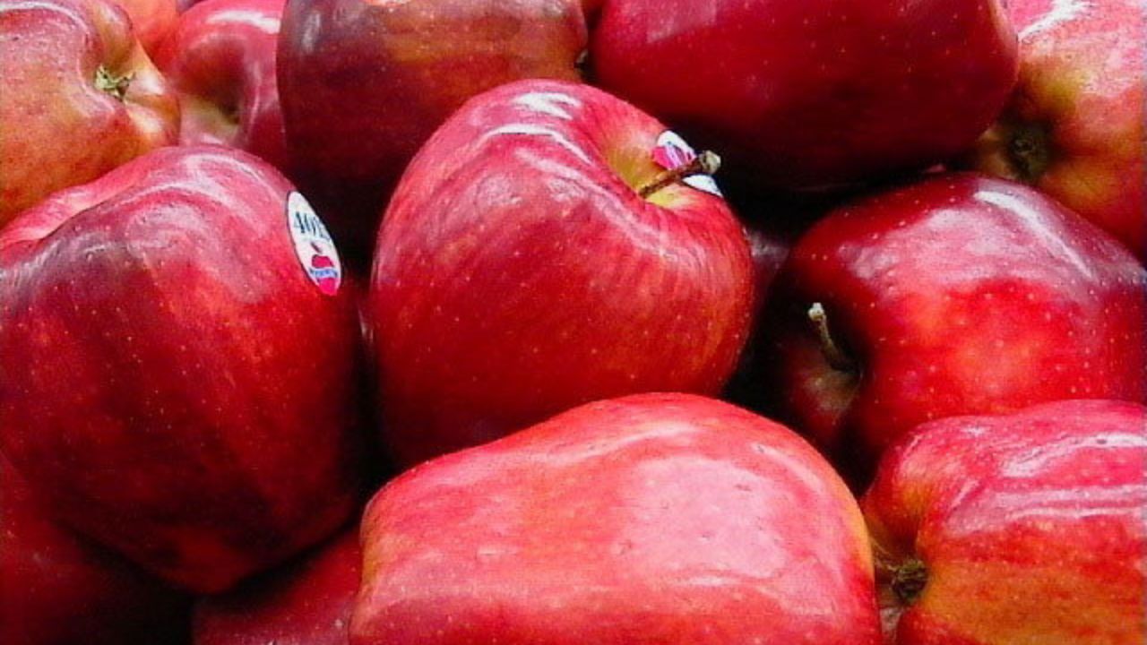 مردان برای سلامت قلبشان چه چیزی بخورند؟