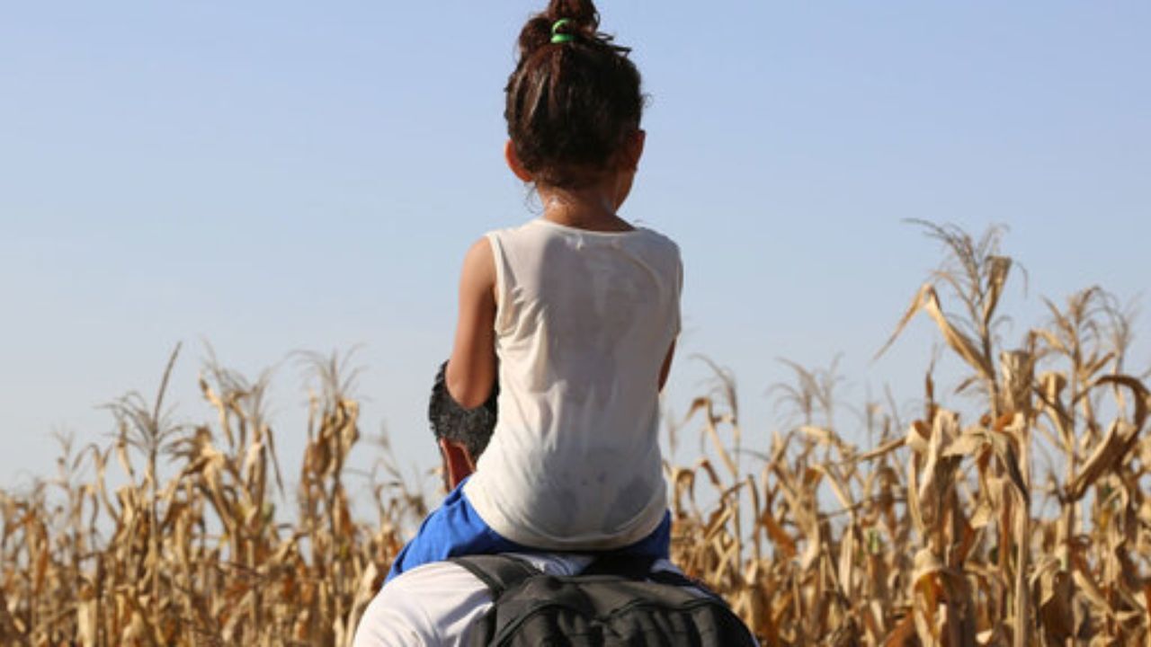 روزانه یک کودک مهاجر در جهان یا مفقود می‌شود و یا می‌میرد