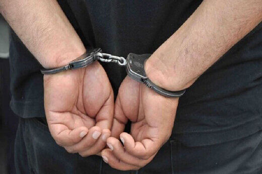 دزد آلبوم سکه و اسکناس‌های قدیمی دستگیر شد