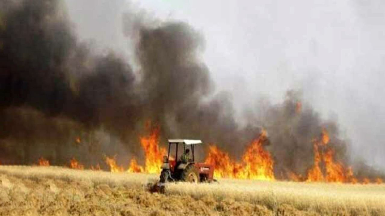 آتش‌سوزی در 30 هکتار از مزارع و مراتع زنجان