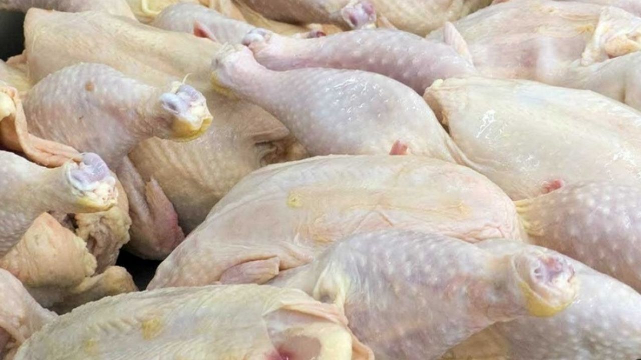 عوامل افزایش قیمت گوشت مرغ اعلام شد