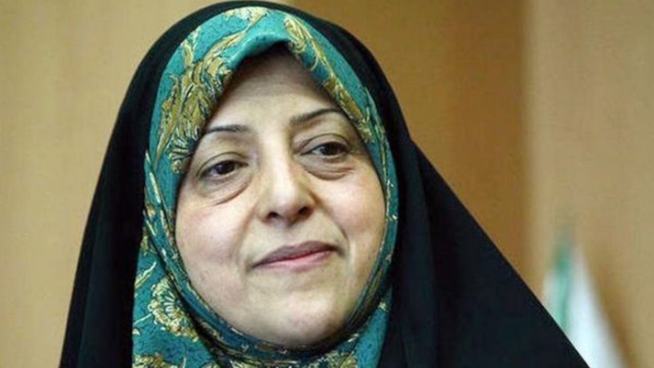 علیه کریمی قدوسی شکایت کرده‌ام/سید امامی هیچ ارتباطی با سازمان محیط زیست نداشت