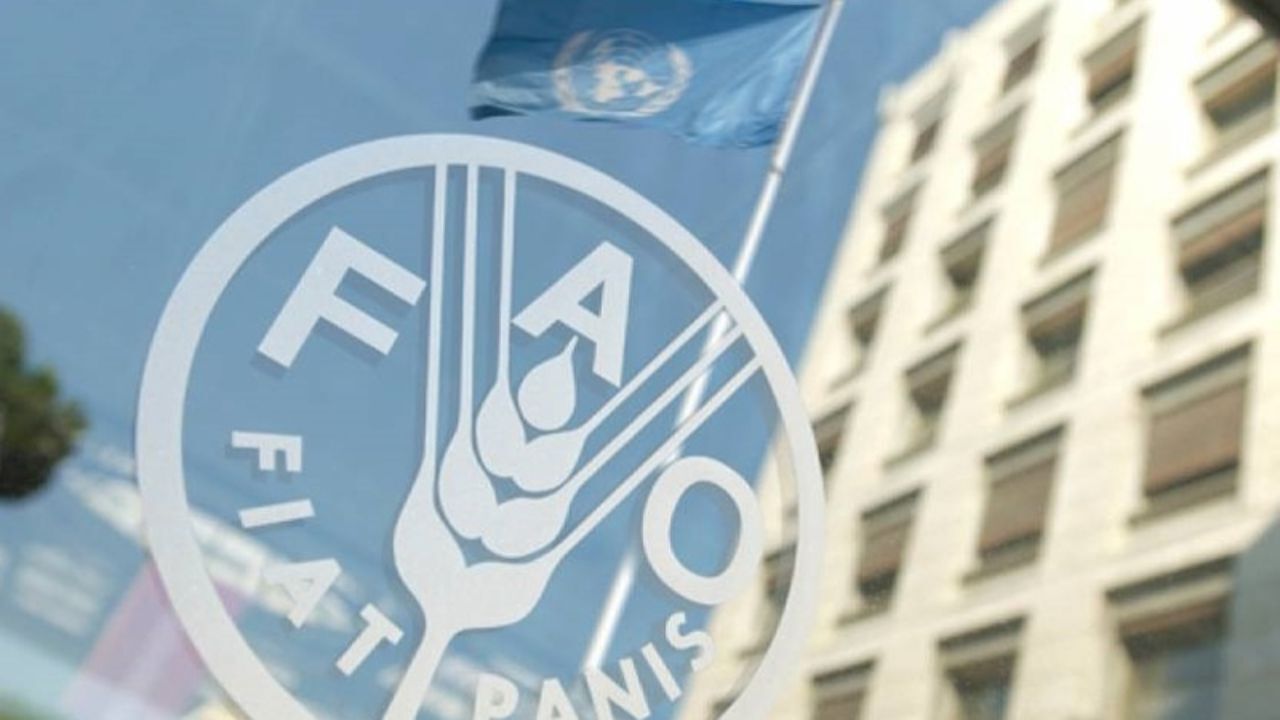 حمایت فائو از برنامه‌های سازگاری با تأثیرات تغییرات اقلیمی