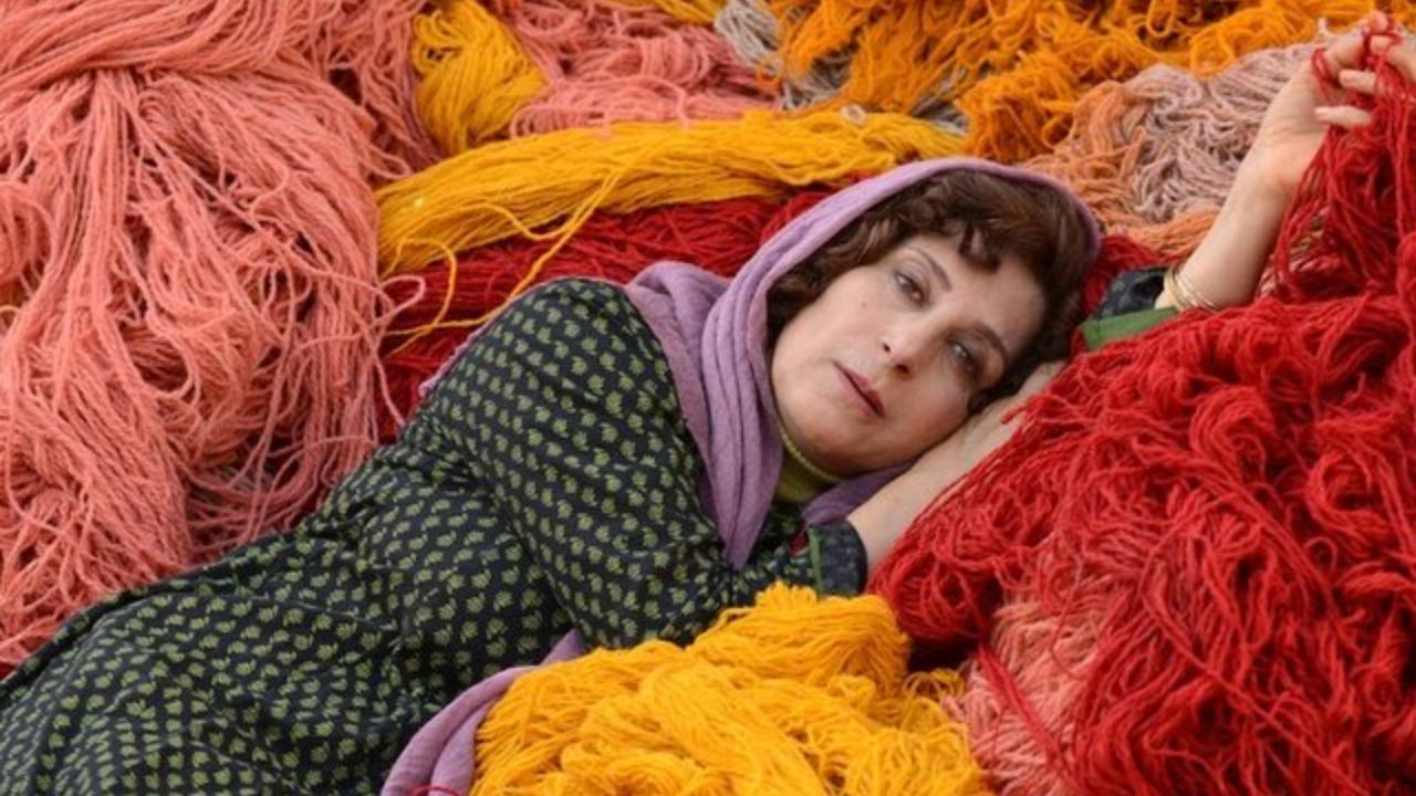 جشنواره فیلم‌های ایرانی مینیاپولیس میزبان 7 فیلم