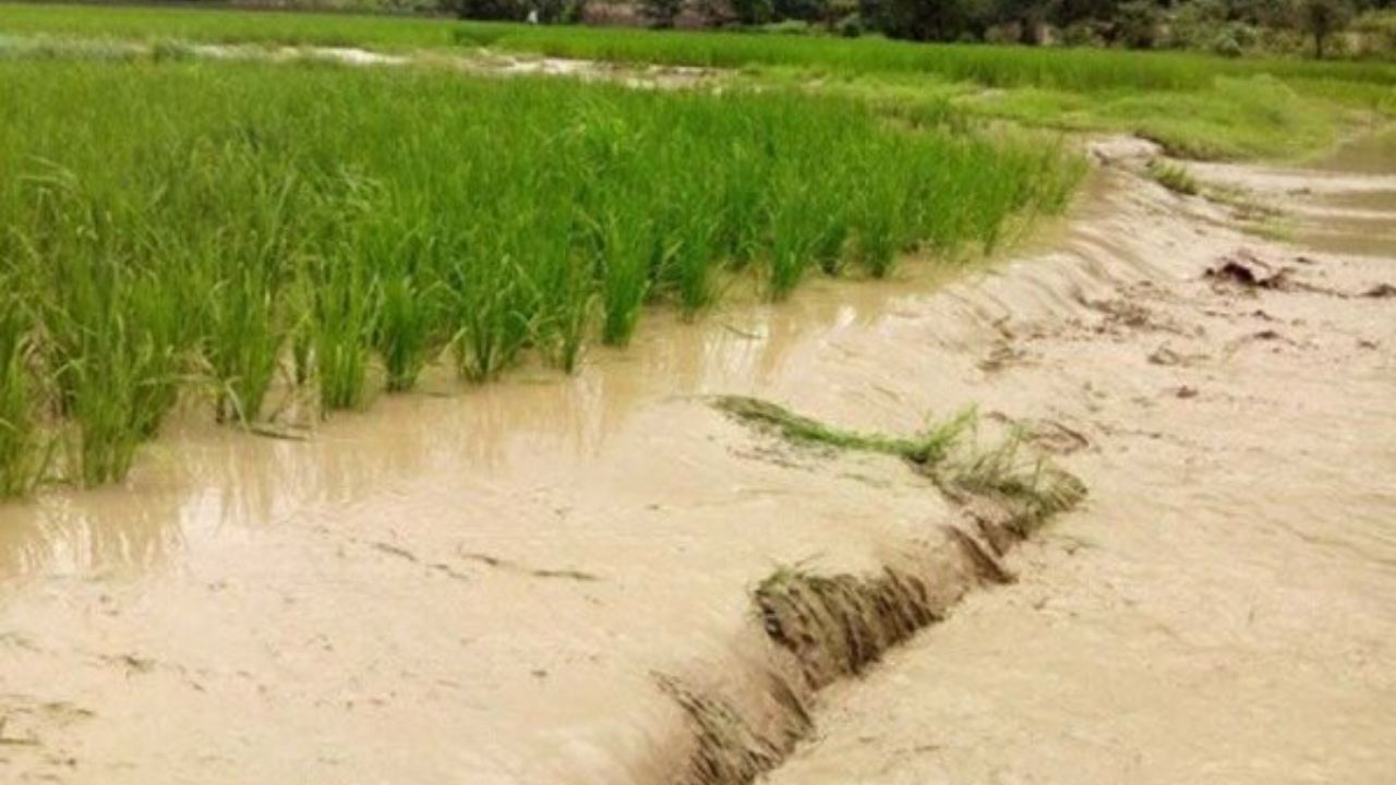 کشاورزان سیل‌زده لرستانی 13 میلیارد کمک بلاعوض و تسهیلات گرفتند