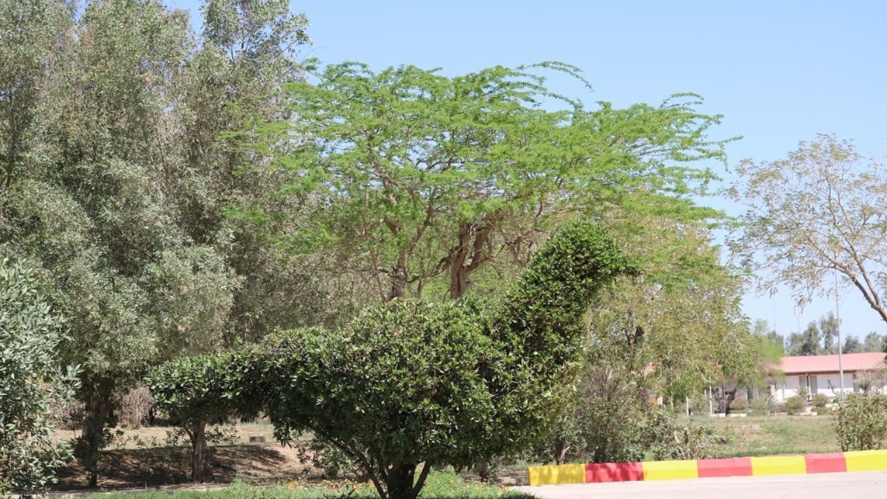 شهرداری به راه‌اندازی سامانه اطلاعات معماری و هویتی بوستان‌ها ملزم شد