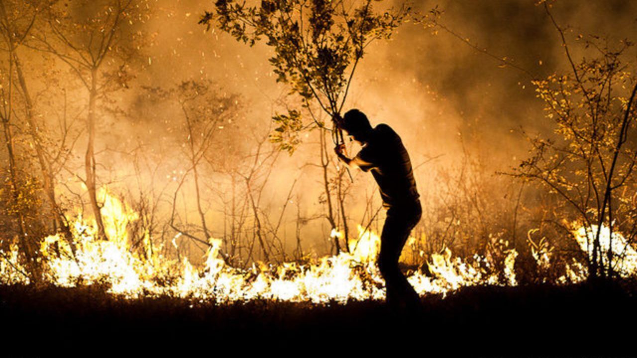 460 آتش‌سوزی در 5 ماه نخست سال در زاگرس رخ داد/ بالای 50 درصد آتش‌سوزی جنگل‌ها عامدانه است/ قوه قضاییه قول می‌دهد، اما دنبال برپاکنندگان آتش نمی‌رود/ مدیران به دستور 15 ماده‌ای رهبری در زمینه مبارزه با زمین‌خواری بی‌توجه‌اند/ کسی که جان یک خرگوش را نجات م
