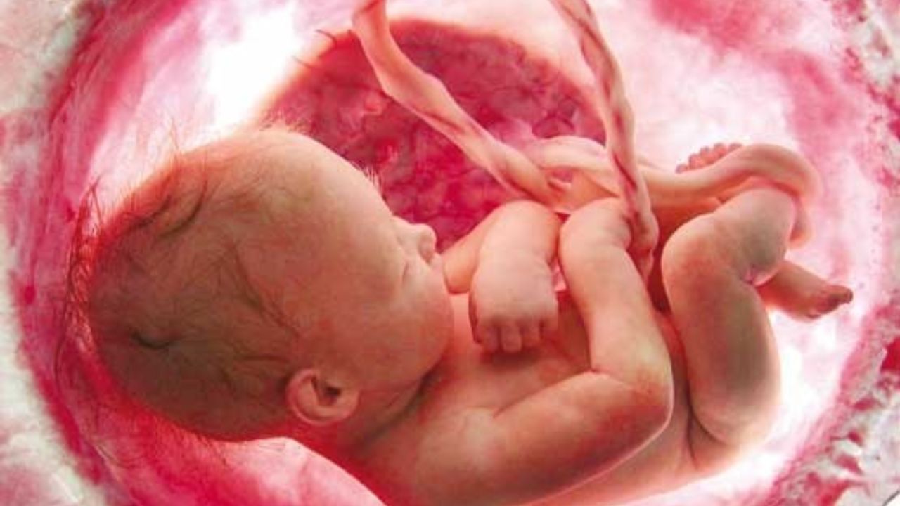ضرورت غربالگری سلامت قلب جنین قبل از 19 هفته بارداری