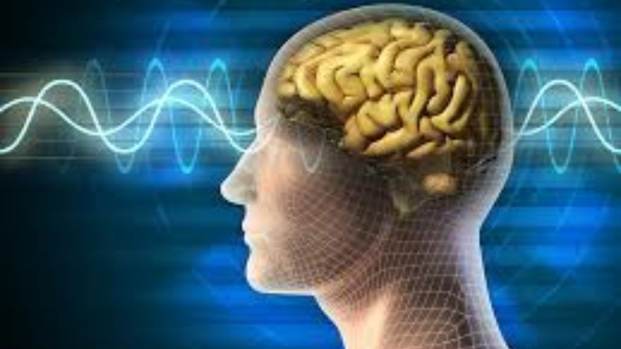 رفع نیازهای اساسی انسان لازمه سلامت روان است