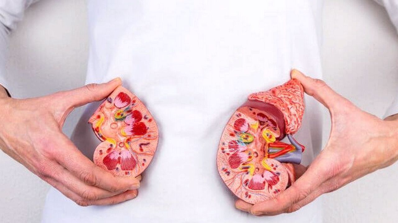 توصیه‌هایی برای پیشگیری از ابتلا به سنگ کلیه