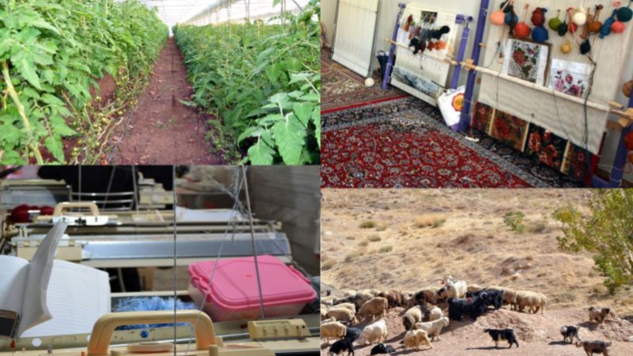 تعداد بانک‌های اعطاکننده تسهیلات اشتغال روستایی افزایش می‌یابد