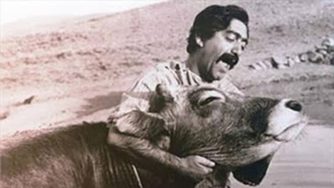 پشت صحنه فیلم «گاو» در خانه سینما نمایش داده می‌شود