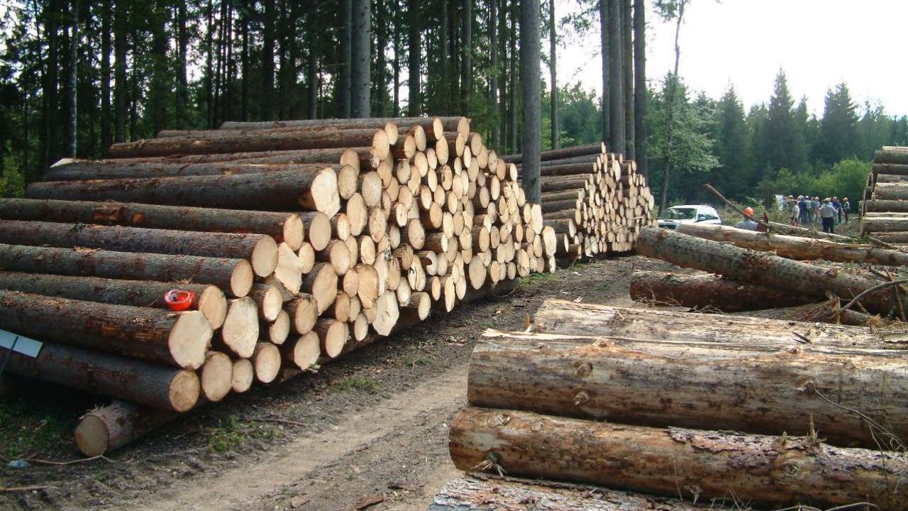 90 درصد چوب‌بری‌ها در خرم‌دره غیرقانونی است