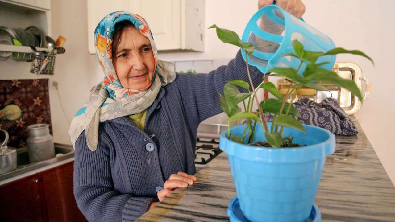 سند ملی سالمندان رونمایی شد