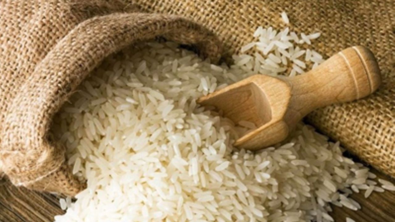 تجار عراقی اجازه خرید مستقیم از برنج‌کاران خوزستان را ندارند