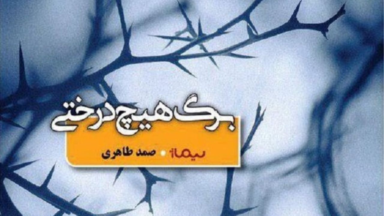 بازاندیشی در جنوب و تعهد