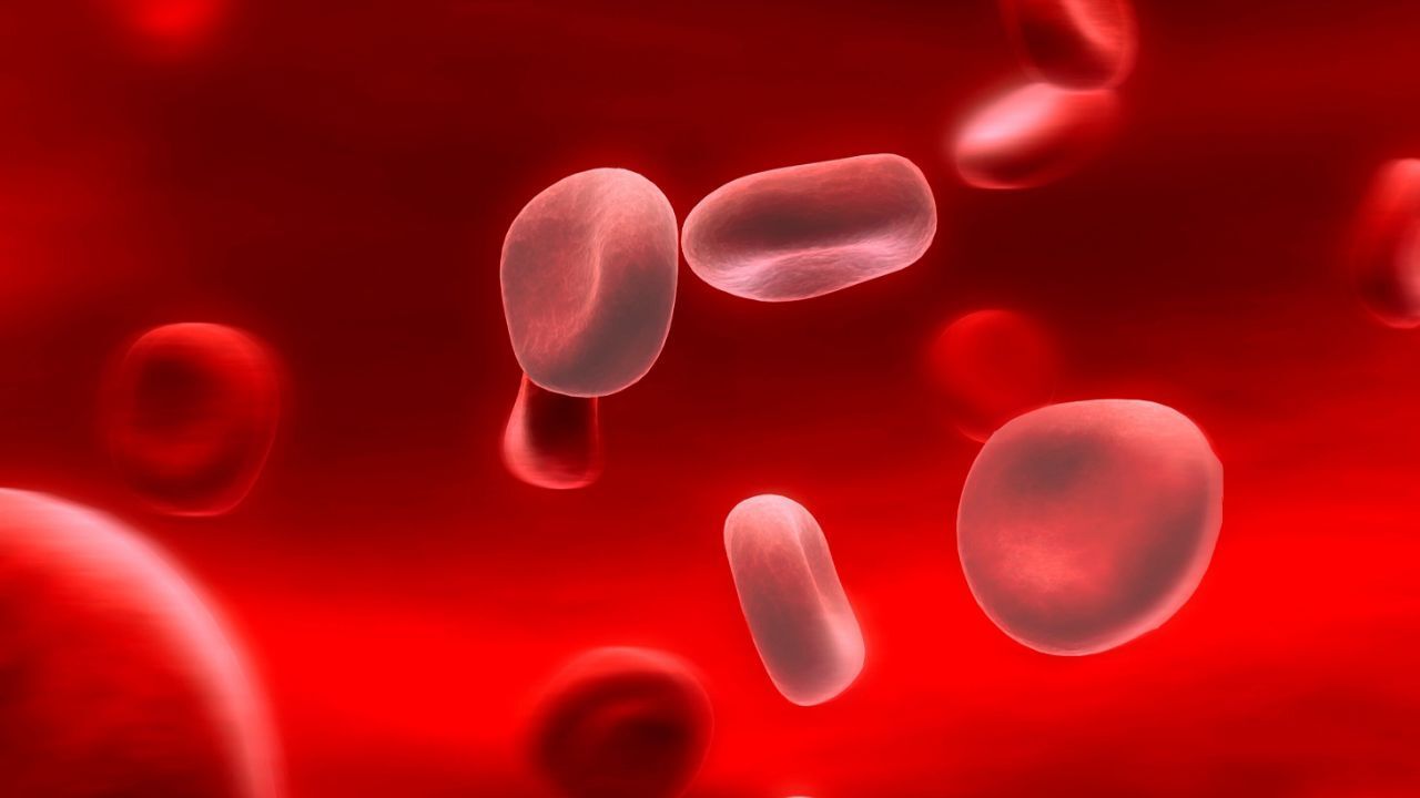 روش‌های تشخیص کم‌خونی چیست؟/ کم‌خونی، فقر آهن و تالاسمی چگونه به وجود می‌آیند؟