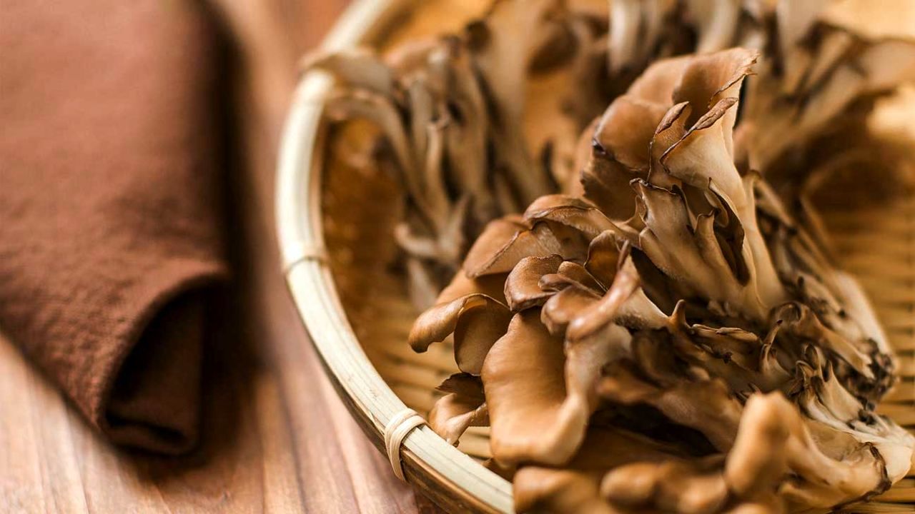 سیستم ایمنی بدن با مصرف عصاره برخی قارچ‌ها تقویت می‌شود