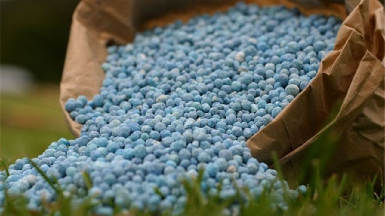 اجرای طرح ملی سواپ کود اوره از سرگرفته شد