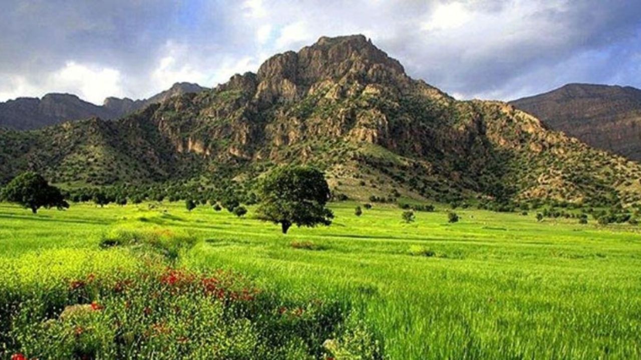 لزوم استفاده از فناوری‌های نوین برای حفاظت از منابع طبیعی