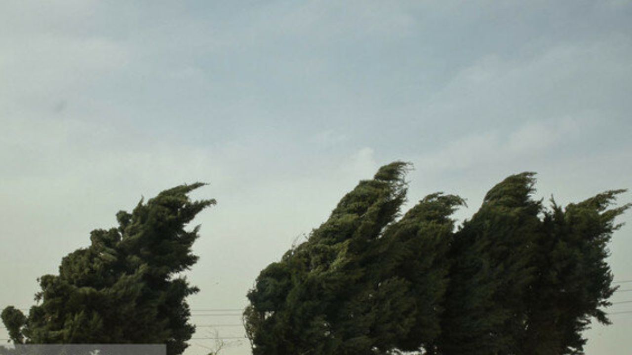 وزش باد شدید در جنوب کشور