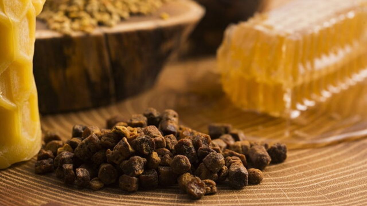 «بره موم» زنبور عسل چه خواصی دارد؟
