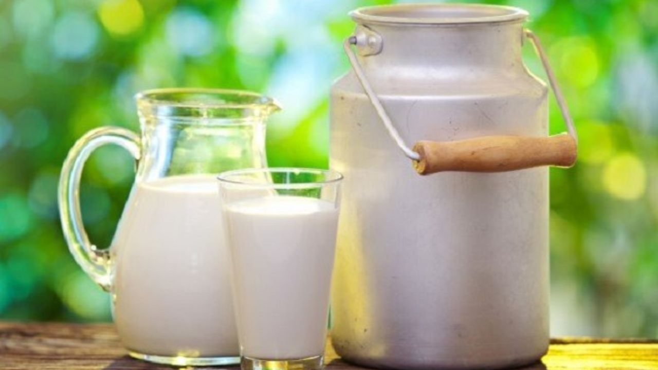 پرونده تخلف برخی شرکت‌های لبنی به سازمان تعزیرات ارسال شد