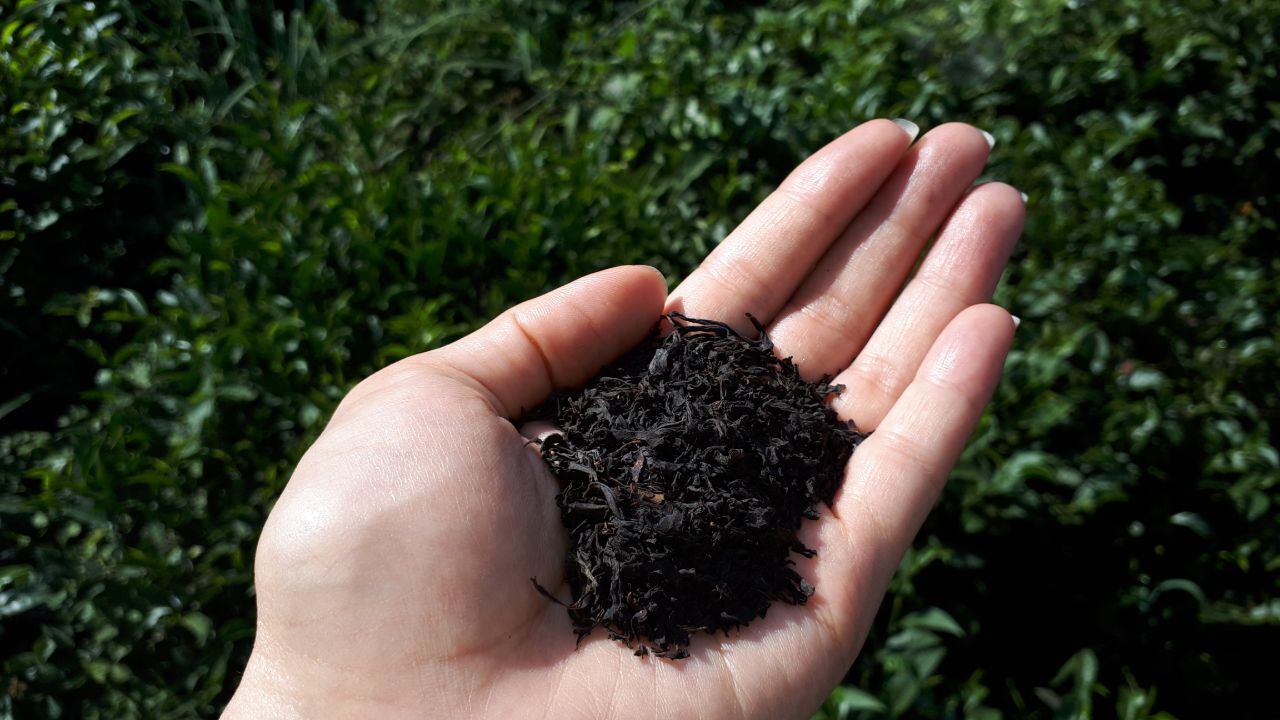 داستان چای‌های تاریخ مصرف گذشته چیست؟